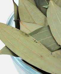 Bay leaf