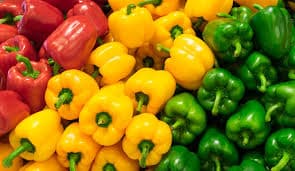 Capsicum (Bell Pepper)