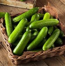 Cucumber