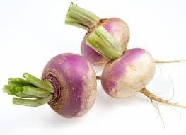 Turnip