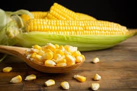 Sweet Corn